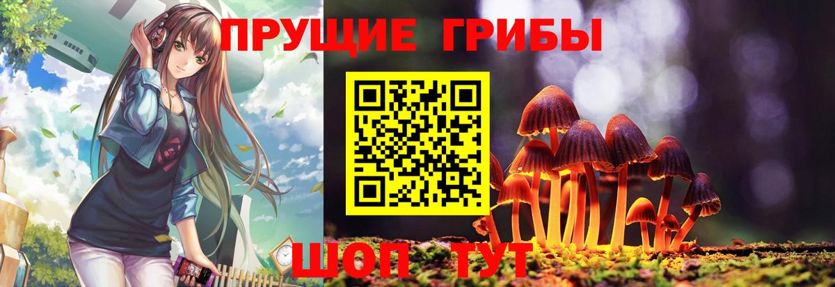 Нижневартовск  Галлюциногенные грибы Psilocybine cubensis  Галлюциногенные грибы Cubensis  Вход с VPN 